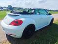Volkswagen Beetle Cabriolet"iBeetle Design"Bi-Xenon*el.DACH Blanc - thumbnail 6
