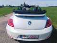 Volkswagen Beetle Cabriolet"iBeetle Design"Bi-Xenon*el.DACH Blanc - thumbnail 7