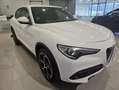 Alfa Romeo Stelvio Executive 2.2 Diesel 154 kW (210 CV) AT8 Q4 Blanco - thumbnail 13