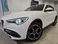 Alfa Romeo Stelvio Executive 2.2 Diesel 154 kW (210 CV) AT8 Q4 Blanco - thumbnail 2
