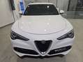 Alfa Romeo Stelvio Executive 2.2 Diesel 154 kW (210 CV) AT8 Q4 Blanco - thumbnail 14