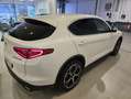 Alfa Romeo Stelvio Executive 2.2 Diesel 154 kW (210 CV) AT8 Q4 Blanco - thumbnail 5