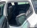 Skoda Octavia Combi 2,0 TDI 4x4 Ambition DSG Weiß - thumbnail 11