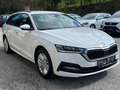 Skoda Octavia Combi 2,0 TDI 4x4 Ambition DSG Weiß - thumbnail 2