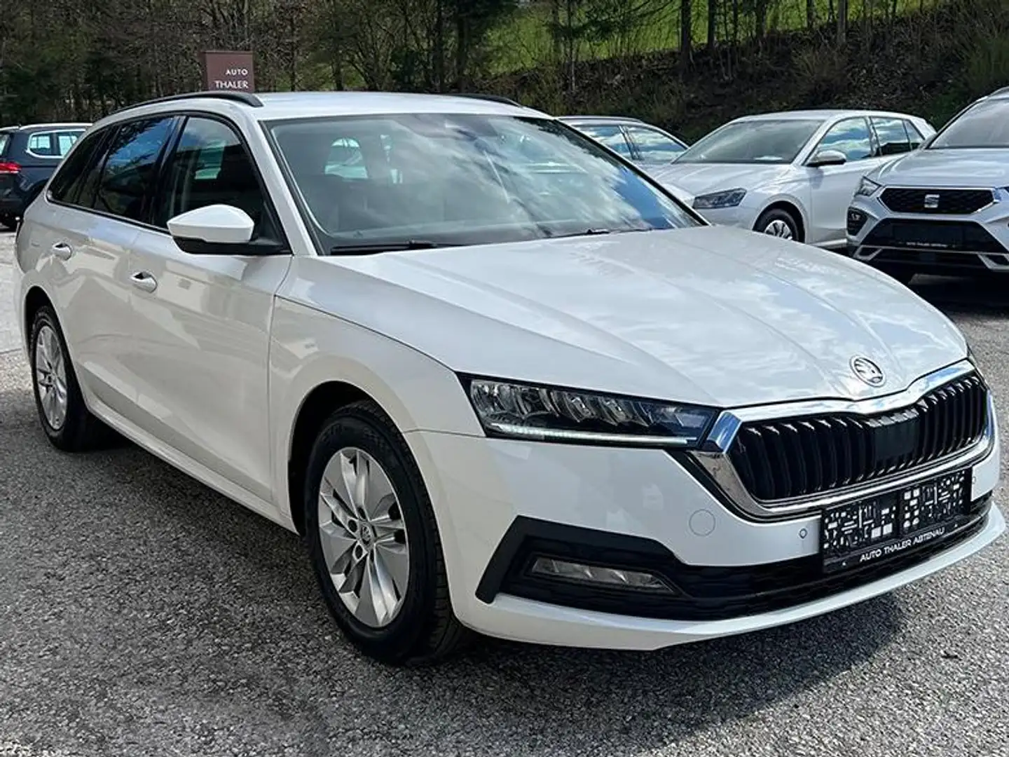 Skoda Octavia Combi 2,0 TDI 4x4 Ambition DSG Weiß - 2