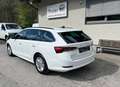 Skoda Octavia Combi 2,0 TDI 4x4 Ambition DSG Weiß - thumbnail 3