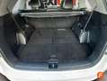 Kia Sorento 2.2CRDi GT Line 4x2 Aut. Blanco - thumbnail 10