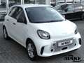 smart forFour electric, Schnellladevorichtung, SHZ, DAB, Weiß - thumbnail 4