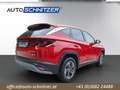 Hyundai TUCSON Tucson 1,6 T-GDI HEV 2WD Smart Line Aut. P3 Rouge - thumbnail 5