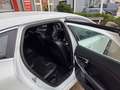Volvo V40 2.0 D2 R-Design Business *export/handel Wit - thumbnail 15