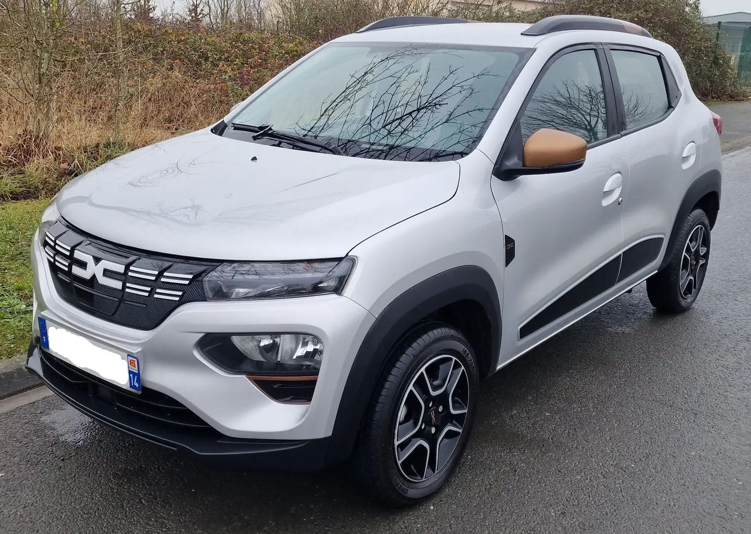 Dacia Spring EXTREME Gris - 1