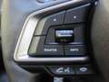 Subaru Forester 2.0ie COMFORT*4X4*-5.075,28€*3,99%*FLAT AB9,99* Grau - thumbnail 24