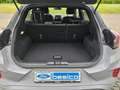 Ford Puma ST-Line X+BLIS+ACC+WinterPak+LED+B&O+NAV+LMF Grau - thumbnail 10