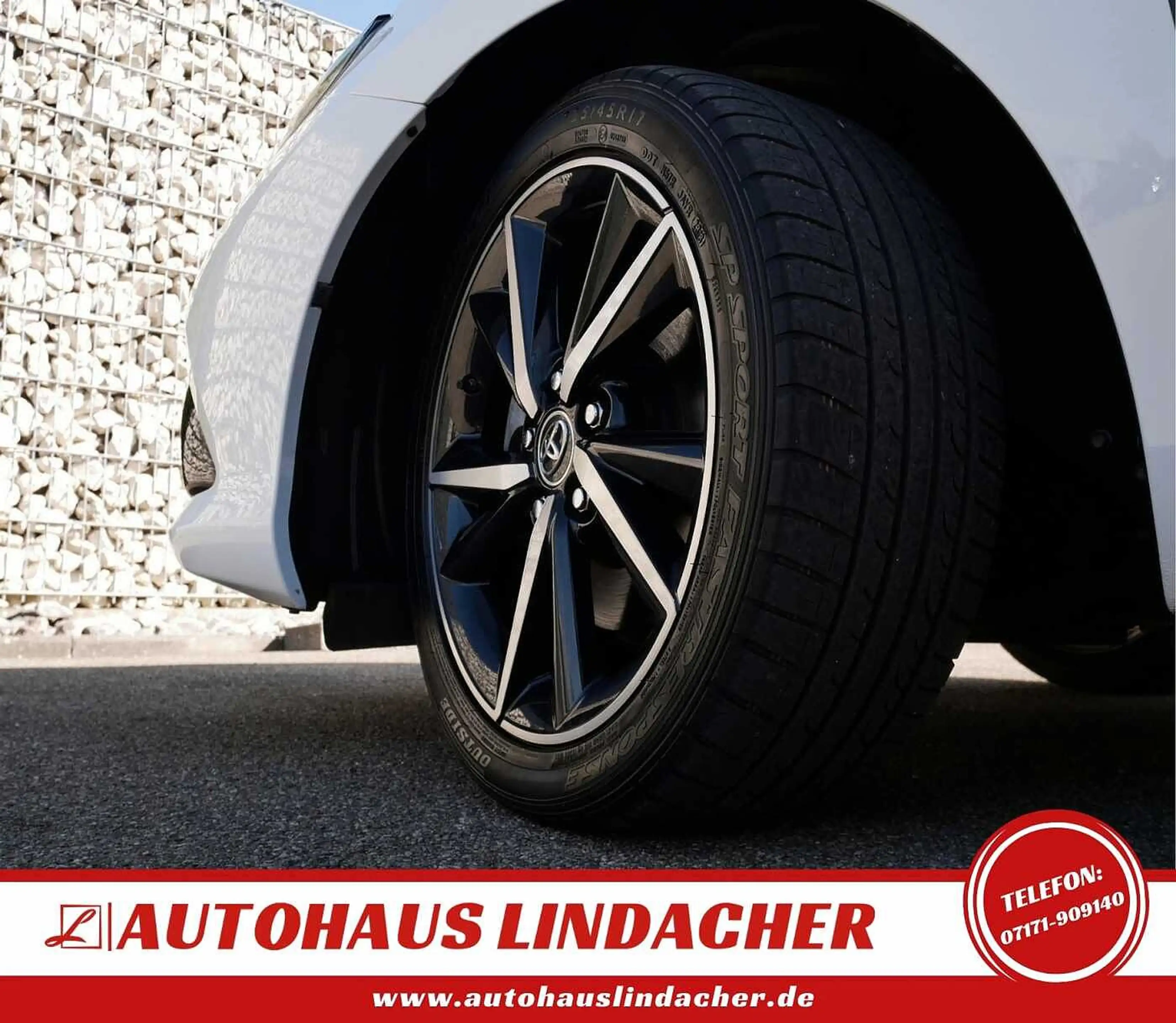 Toyota Auris Hybrid 1.8 VVT-i Team Deutschland I Navi — photo 8