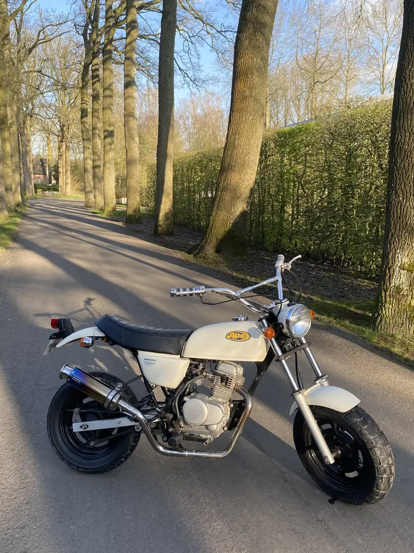 Honda Z 50 Ape 50 | Originele honda | Nieuwstaat Beige - 1