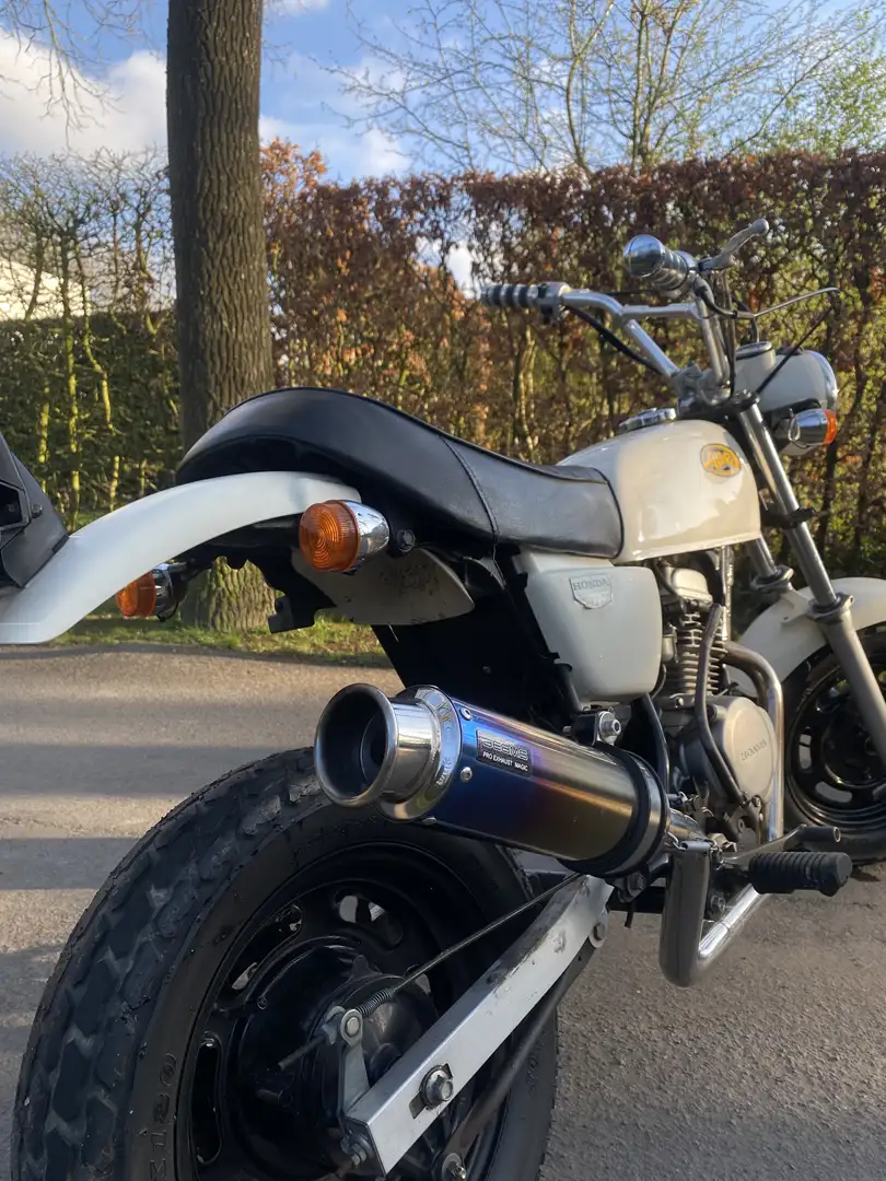 Honda Z 50 Ape 50 | Originele honda | Nieuwstaat Beige - 2