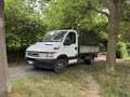 Iveco Daily - thumbnail 1