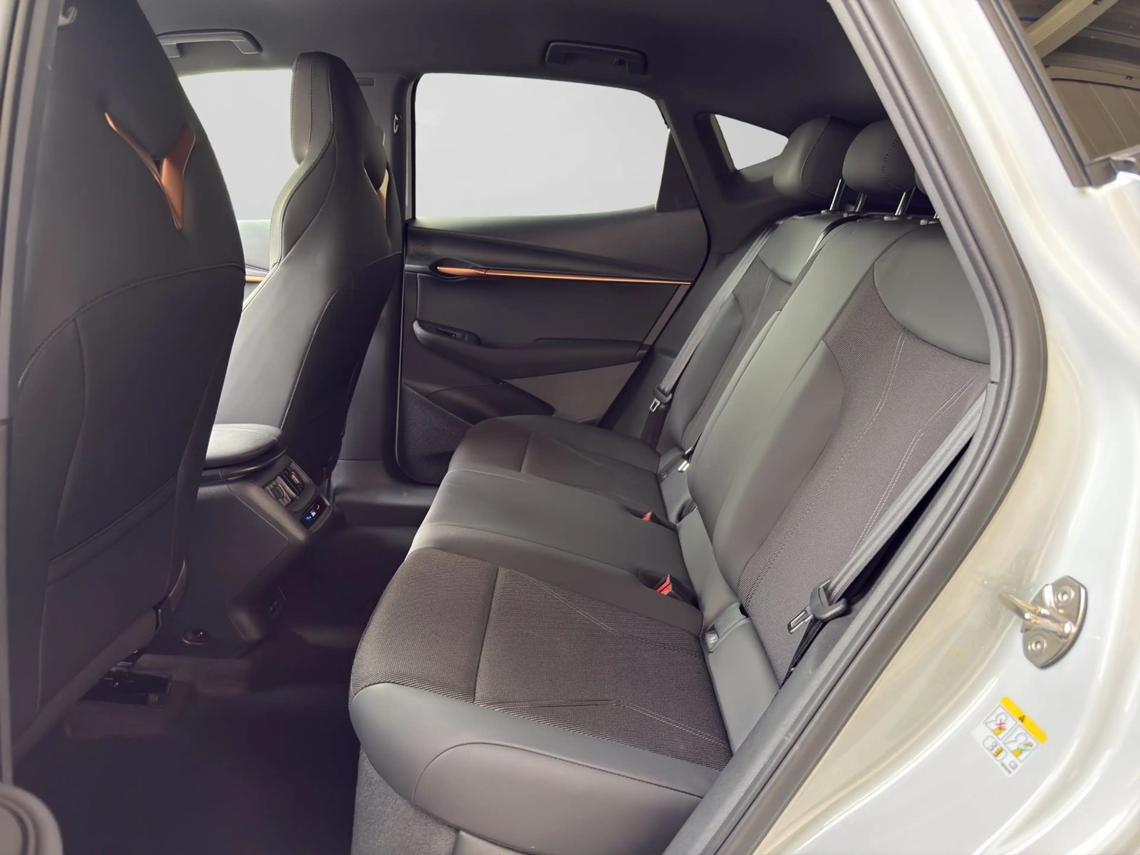 CUPRA Tavascan NAVI SHZ PARKLENK LM19 GJR — photo 6