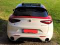 Alfa Romeo Stelvio Stelvio 2.2 Diesel 16V AT8 Q4 Veloce Weiß - thumbnail 3