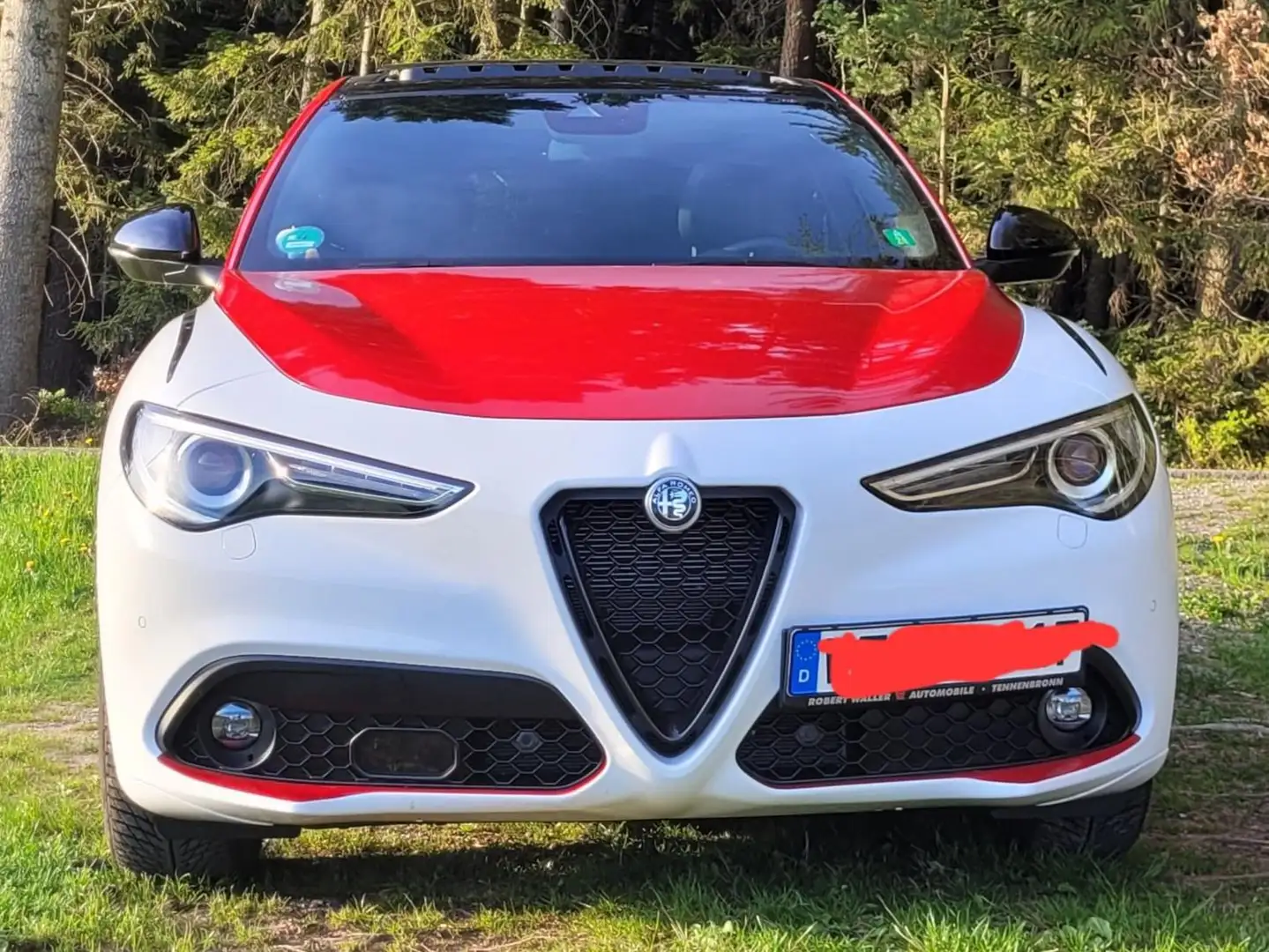 Alfa Romeo Stelvio Stelvio 2.2 Diesel 16V AT8 Q4 Veloce Weiß - 2