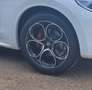 Alfa Romeo Stelvio Stelvio 2.2 Diesel 16V AT8 Q4 Veloce Weiß - thumbnail 6