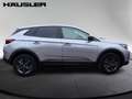 Opel Grandland X Grandland 1.2 Turbo Business Edition #10 Grau - thumbnail 5