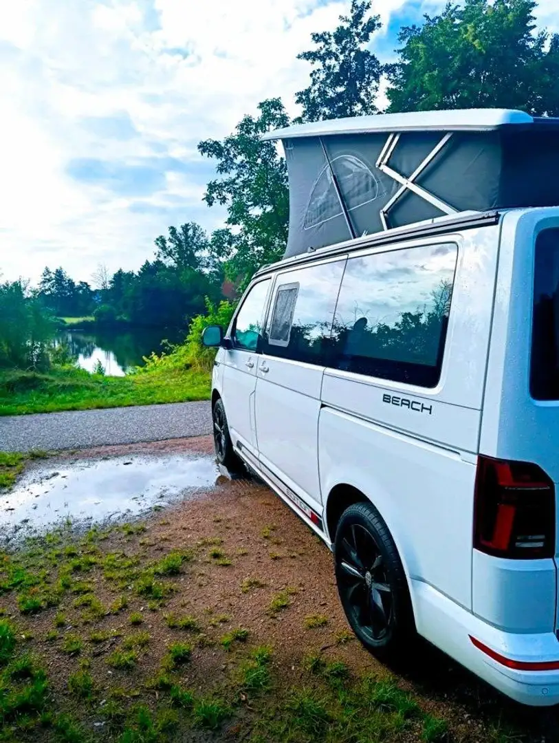 Volkswagen T6 California California DSG Beach Edition Blanc - 1