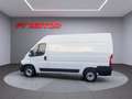 Fiat Ducato 33 L2H2 2.3 Multijet 103kW (140CV) Weiß - thumbnail 7