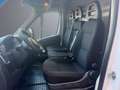 Fiat Ducato 33 L2H2 2.3 Multijet 103kW (140CV) Weiß - thumbnail 11