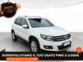 Volkswagen Tiguan 1ª serie - Tiguan 2.0 TDI 140 CV 4MOTION DSG Busin Bianco - thumbnail 4