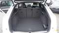 Audi Q5 50TDI Sportback4x4 SLine+Soundsystem+AHK+Pano Blanco - thumbnail 14
