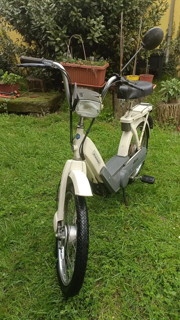 Piaggio Ciao coppia di CIAO Piaggio con variatore e senza 1980 Rot - 2