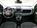 Fiat Panda Cross  Komfort-Paket Tech-Paket 1.0 Hybrid Blanc - thumbnail 9