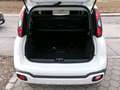 Fiat Panda Cross  Komfort-Paket Tech-Paket 1.0 Hybrid Blanc - thumbnail 17