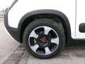 Fiat Panda Cross  Komfort-Paket Tech-Paket 1.0 Hybrid Blanc - thumbnail 16