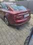 Audi A5 SB sport 2,0 TDI S-tronic - thumbnail 4
