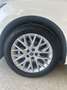 SEAT Ibiza 1.0 TSI S&S Style 85kW Blanco - thumbnail 23