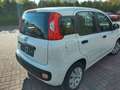 Fiat Panda 1.2 Pop TÜV 08/2025 Blanc - thumbnail 4