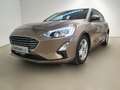Ford Focus 1.5 EcoBlue 120 CV automatico 5p. Business Co-Pilo Bronce - thumbnail 4