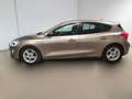 Ford Focus 1.5 EcoBlue 120 CV automatico 5p. Business Co-Pilo Bronce - thumbnail 5