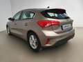 Ford Focus 1.5 EcoBlue 120 CV automatico 5p. Business Co-Pilo Bronce - thumbnail 6