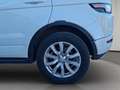 Land Rover Range Rover Evoque 2.0TD4 SE Dynamic 4WD Aut. 150 Blanco - thumbnail 12