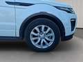 Land Rover Range Rover Evoque 2.0TD4 SE Dynamic 4WD Aut. 150 Blanco - thumbnail 10