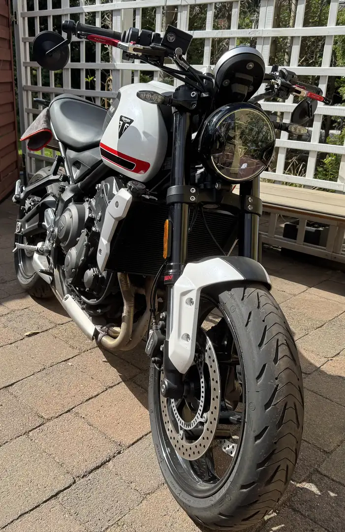 Triumph Trident 660 Blanc - 2
