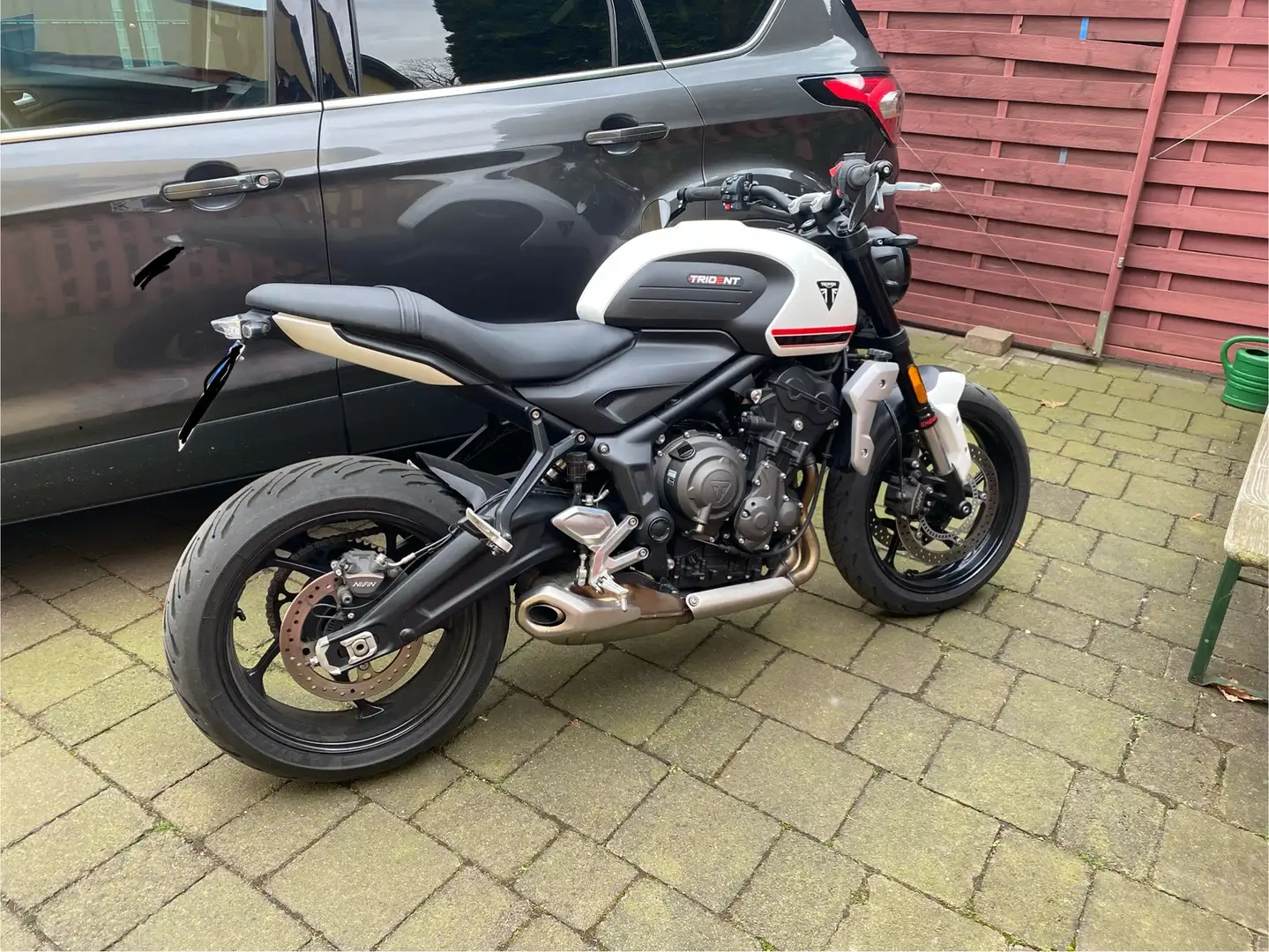 Triumph Trident 660 Alb - 1