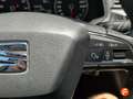 SEAT Ibiza 1.0 EcoTSI 85kW (115CV) Style Azul - thumbnail 15