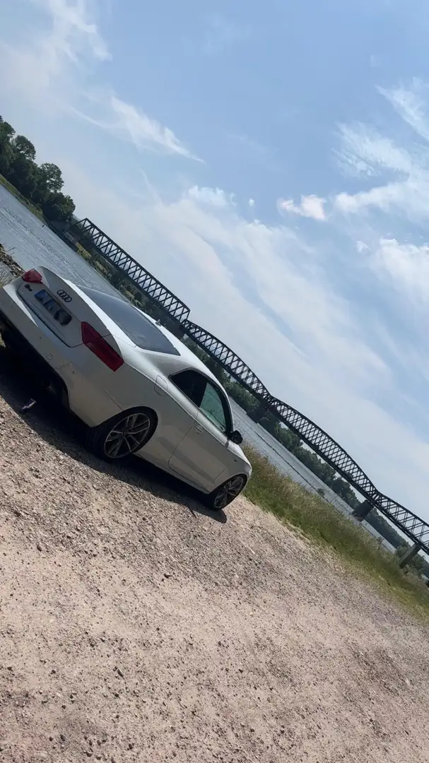 Audi S5 S5 S tronic Белый - 2