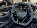 Audi Sonstige quattro 435 kW Pano HUD B&O AIR Lase Grau - thumbnail 15