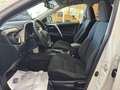 Toyota RAV 4 150D Executive AWD AutoDrive Blanc - thumbnail 8