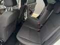 Ford Focus 1,0 EcoBoost ST-Line Weiß - thumbnail 11